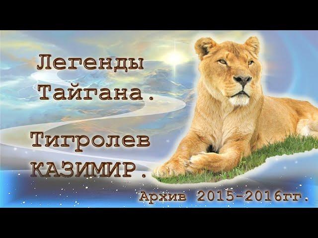 Легенды Тайгана. Тигролев Казимир. Архив 2015-2016гг.