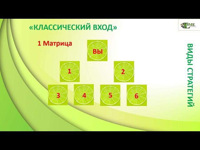 Виды стратегий, как инструмент масштабирования