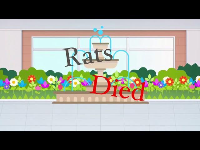 Rats died, part 1 - For GrapeBird. LAZY-