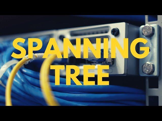 CCNA Quiz: Spanning Tree Explained: Which ports are blocked and why? CCNA | CCNP