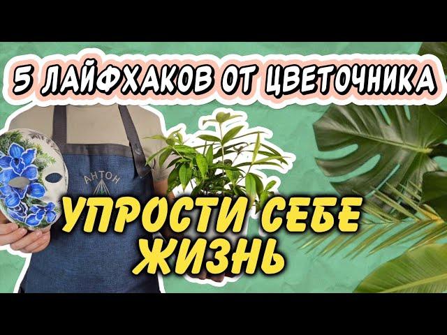 Упрости уход за комнатными растениями с лайфхаками от Антона-Цветочника!Просто, дешево и эффективно