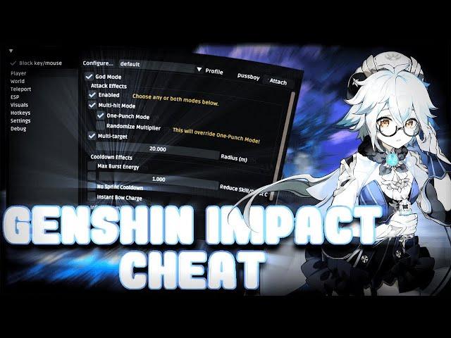 GENSHIN IMPACT HACK | CHEAT GENSHIN IMPACT | PC 2022 | NEW