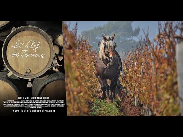  La Clef des Terroirs  Documentary film