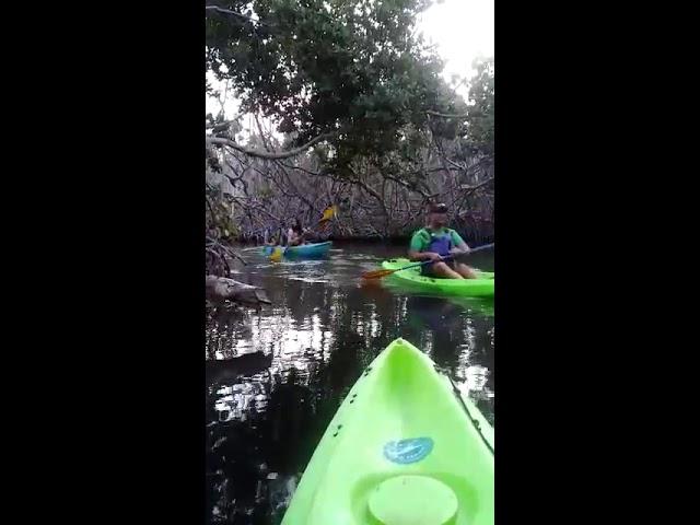 Experience Bio Bay @ Fajardo, Puerto Rico  kayaking adventure with Yokahu Kayak