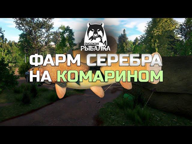 ФАРМ СЕРЕБРА на КОМАРИНОМ ● Русская Рыбалка 4