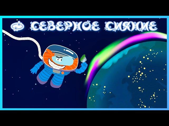  Бодо Бородо  -  СЕВЕРНОЕ СИЯНИЕ | Мультик для детей  / Бодо путешествия