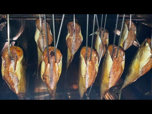 Smoked mackerel recipe - how to smoke fish (mackerel)