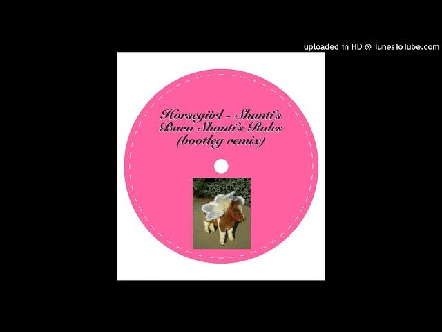 Horsegiirl - Shanti's Barn Shanti's Rules (Bootleg Remix)