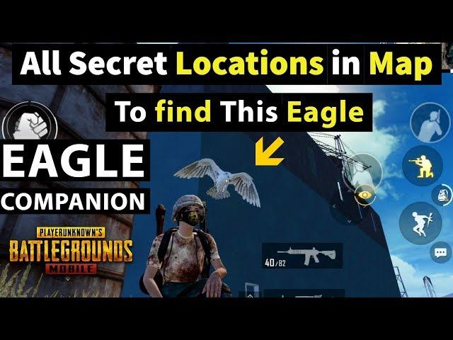 All Secret Pubg Eagle location | Unlocked EAGLE COMPANION Title in Pubg Mobile