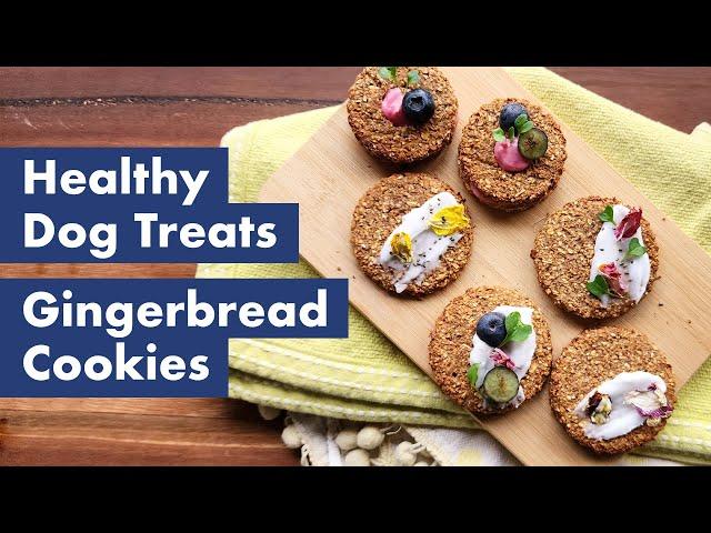 Homemade Gingerbread Dog Cookies | Healthy & Delicious Dog Recipes