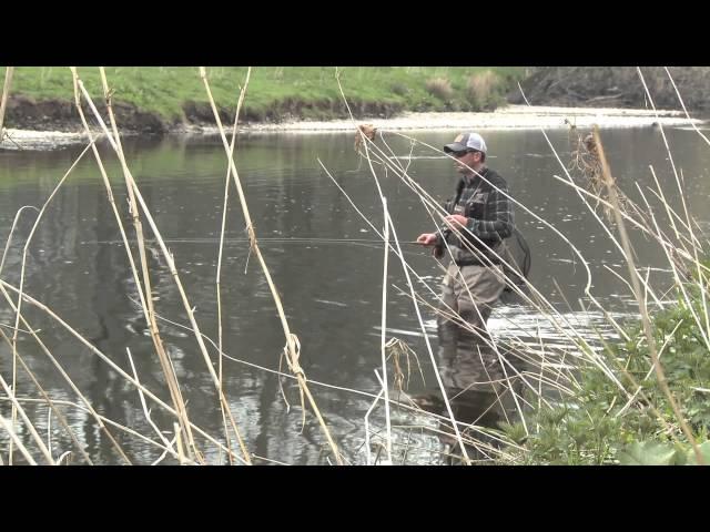 Fly Fishing the Borders for Wild Brown Trout (The Big Fish) with Tony Donnelly