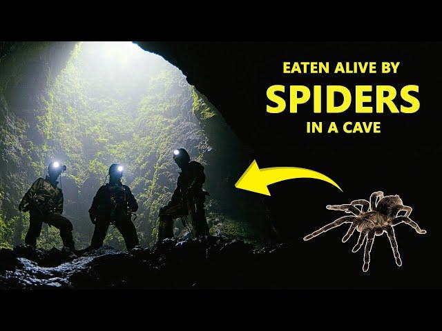 Cave Explorer Eaten Alive By Spiders???