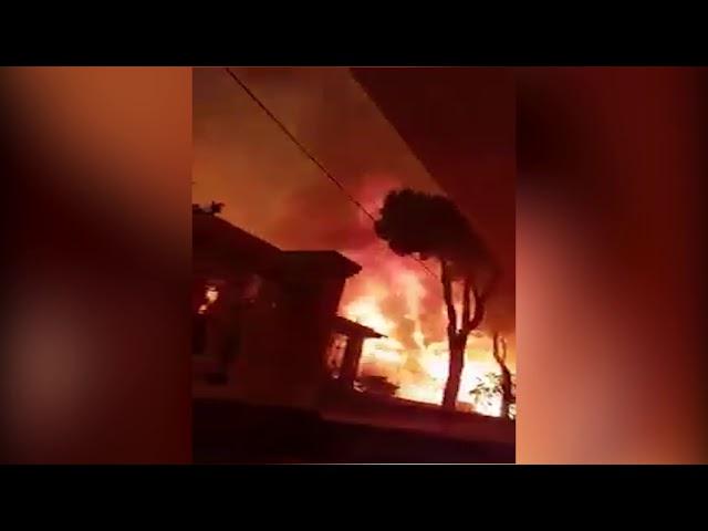 Hero Saves Cat but gets himself almost killed | Greek Wildfires 2018 | Tragedy