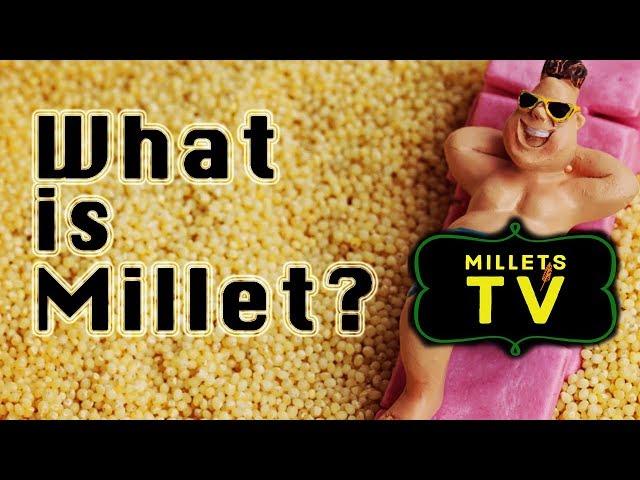 What is Millet and why Millets? | Millets TV