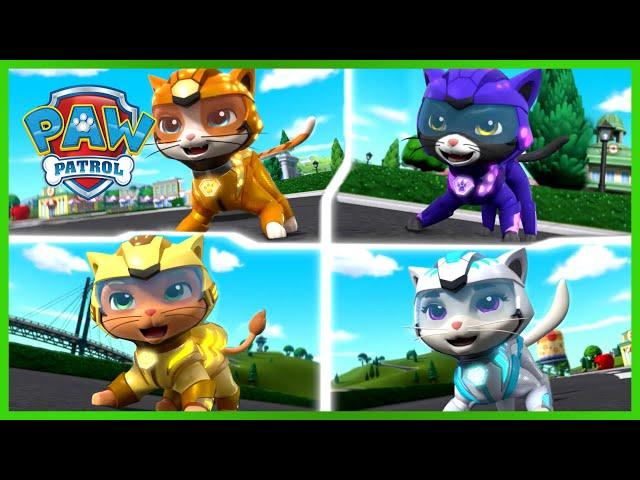 Cat Pack PAW Patrol Rescues - PAW Patrol - Cartoons for Kids Compilation