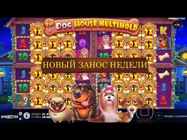 Огромный ВЫИГРЫШ в The Dog House Multihold . ДАЛИ ЭКСКЛЮЗИВ! ЗАНЕС 3 МИЛЛИОНА! ЛУЧШАЯ НОВИНКА 2023