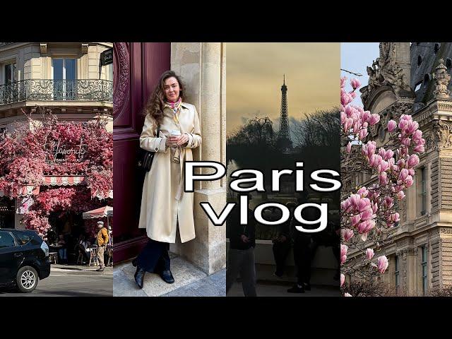 PARIS IN SPRING: THE STYLE OF PARISIANS, THE PROS AND CONS OF PARIS, THE CHANEL SHOW AND MAGNOLIAS