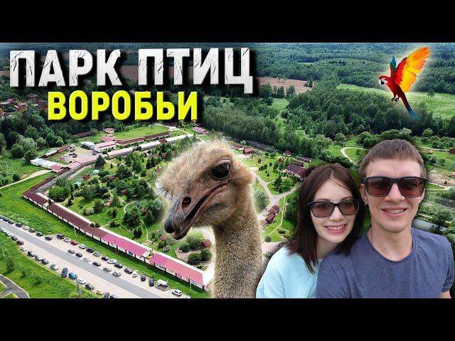 Парк птиц "ВОРОБЬИ" в Калужской области