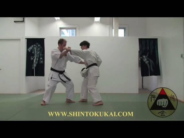 Okinawa Shorin-ryu Karate: Parent Style of Shotokan (clip 8)