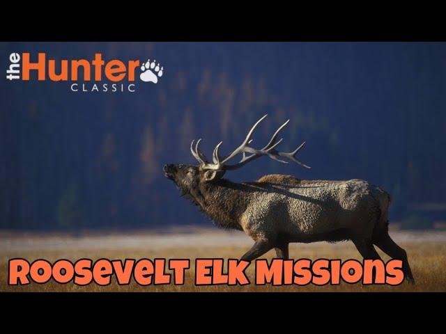 The Hunter Classic Roosevelt Elk Missions! Охота на Оленя Рузвельта как выполнить все 17 миссий!