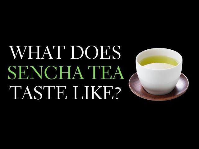 What Does Japanese Green Tea Taste Like? Describing the Sencha Taste