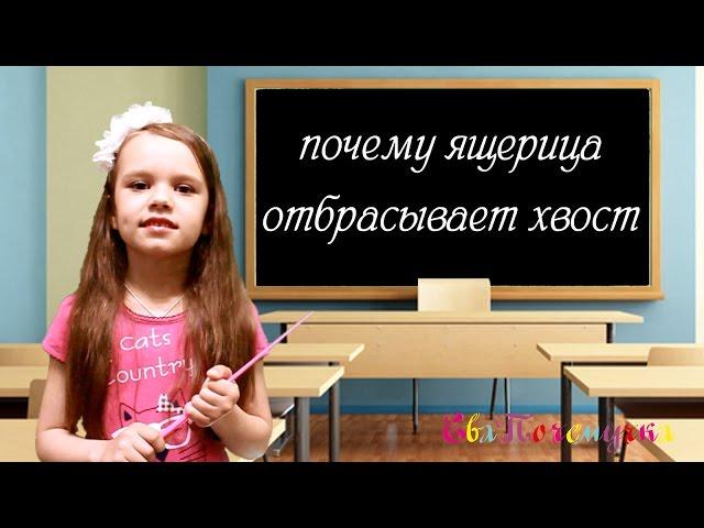 ЕваПочемучка - почему ящерица отбрасывает хвост