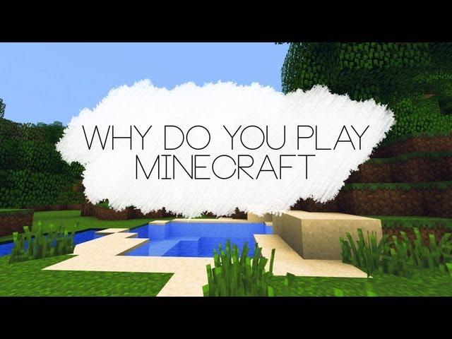 Why Do You Play Minecraft? [Minecraft Mini-Documentary]