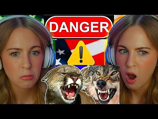 Americas Most DANGEROUS Backyard Animals | Irish Girl Reaction