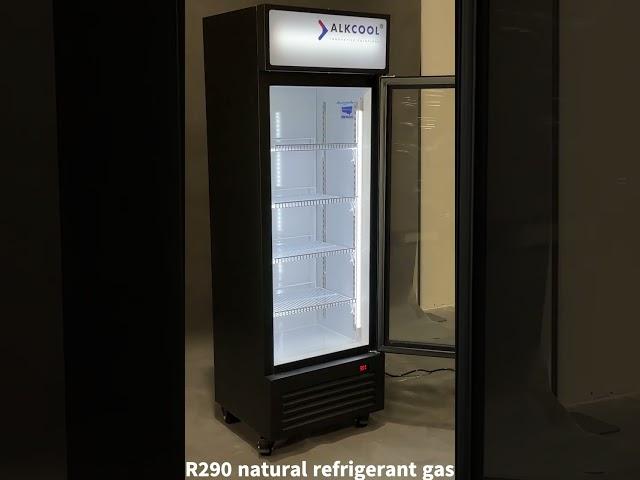 SDGR 22'' Black Swing Glass Door Merchandiser Refrigerator