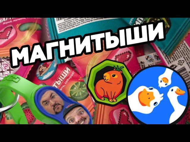 БЕСЯЧИЙ ГУСЬ В АКЦИИ МАГНИТЫШИ МАГНИТ 2024! ПОЛНЫЙ ОБЗОР АКЦИИ!