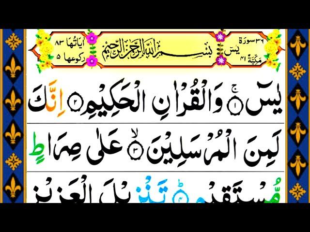 Surah yaseen | Yasin | yasin sharif ki tilawat | Yaseen Sharif| یسںن| Mubarak TV