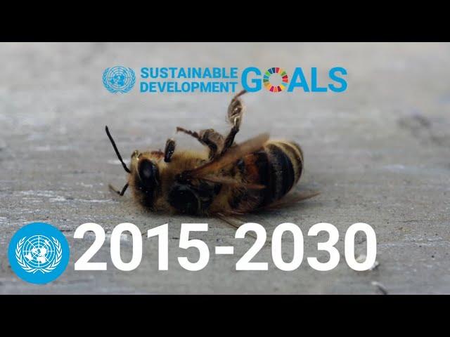 Red Alert - How to meet the Sustainable Development Goals together | SDG Moment | United Nations