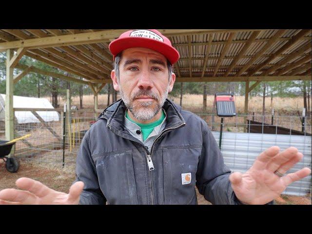 It's the Responsible Thing to Do Before Releasing Pastured Pigs