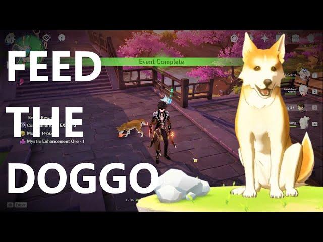 How To TRIGGER "Friend to Animals" Random Event | Inazuma | Genshin 2.0