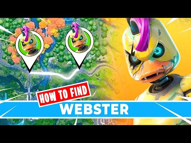 How to Find the New NPC #17 *WEBSTER* (Fortnite)