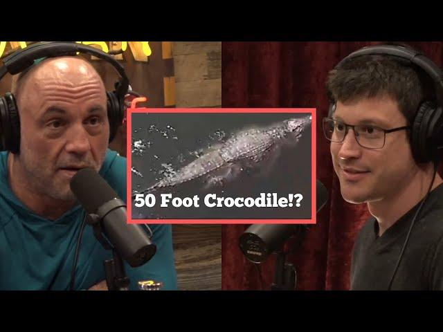 50 Foot Crocodile!? | Joe Rogan & Bob Gymlan