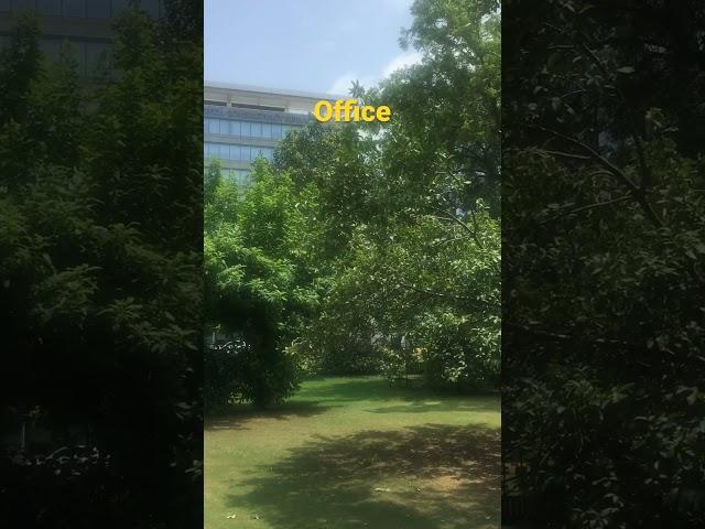 #viral #gurugram #gg7 #office #movement #youtubeshorts #