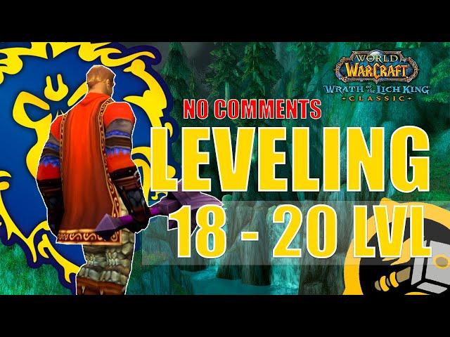 WOTLK Classic Leveling Alliance Guide (Paladin) [18-20] One hour preparation WoW [4K,ASMR]