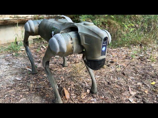 Robot dogs could be unleashed on Ukraine's front lines | AFP