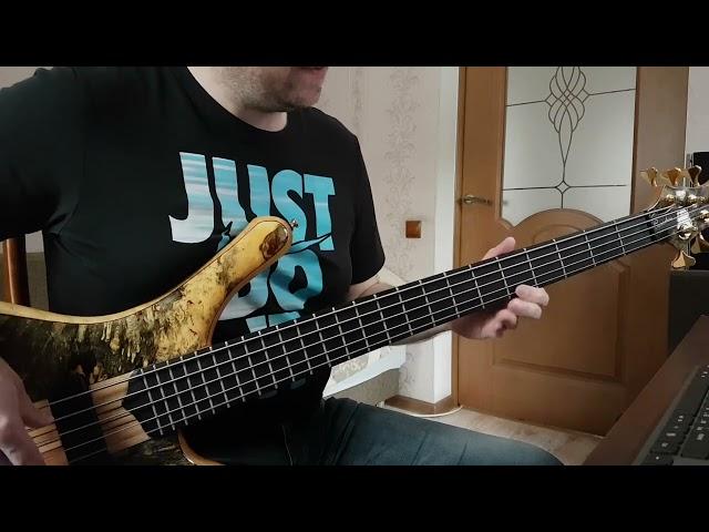 Vitaliy Shaposhnikov - Turf Smoke, bass cover