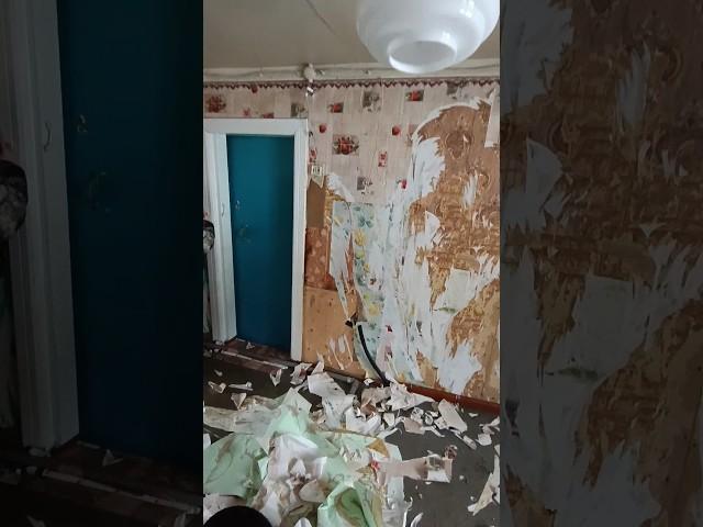 Купили дом в деревне. #карелия #заонежье #деревня