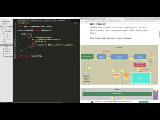 How to setup webpack dev server to use Hot Module Replacement ( Live reloading ) Feature