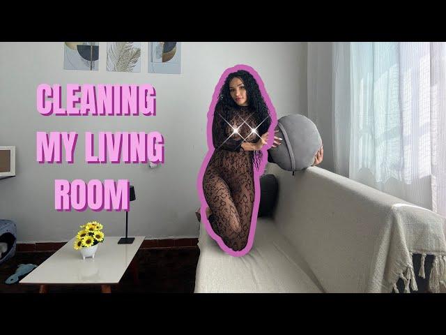 Transparent cleaning living room - clean with me