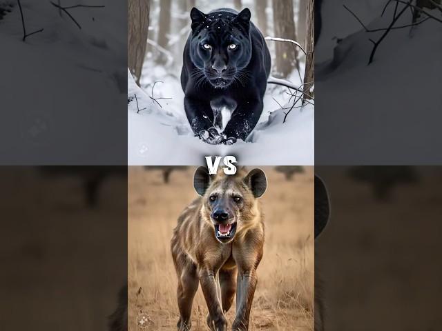 Animal VS Animal  #animals #viralmusic #cute #animalcomparisons #1millionviews