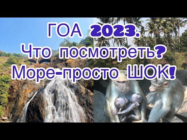 ГОА 2023. Что можно посмотреть? Море просто шок!