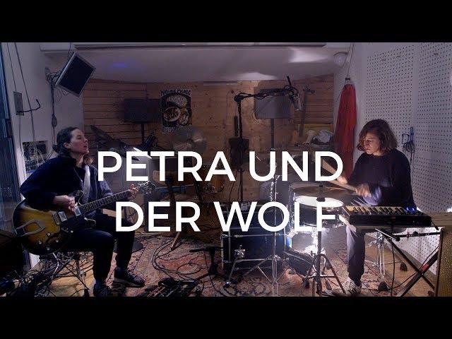 petra und der wolf - Flies (Studio A Session)