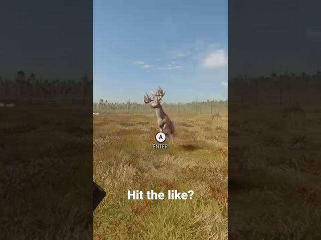 Great One runs right past me! theHunter: Call of the Wild