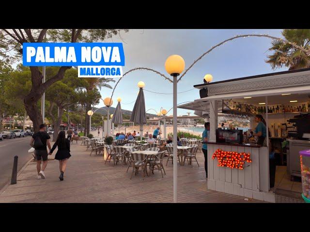 Palma Nova Mallorca  Evening