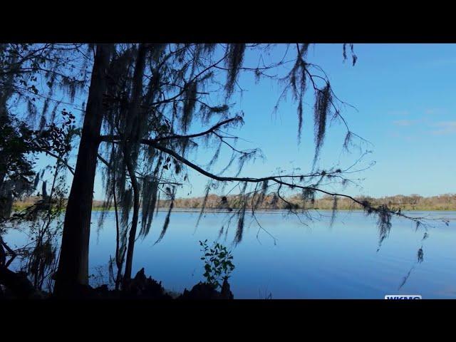 DeBary to open massive, ‘one-of-a-kind’ Alexander Island nature park. What to expect