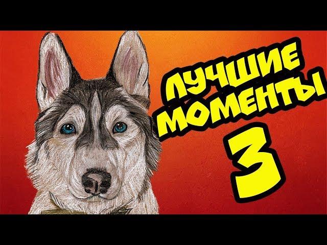 ХАСКИ БАНДИТ ЛУЧШИЕ МОМЕНТЫ ЧАСТЬ 3 (Хаски Бандит) Говорящая собака